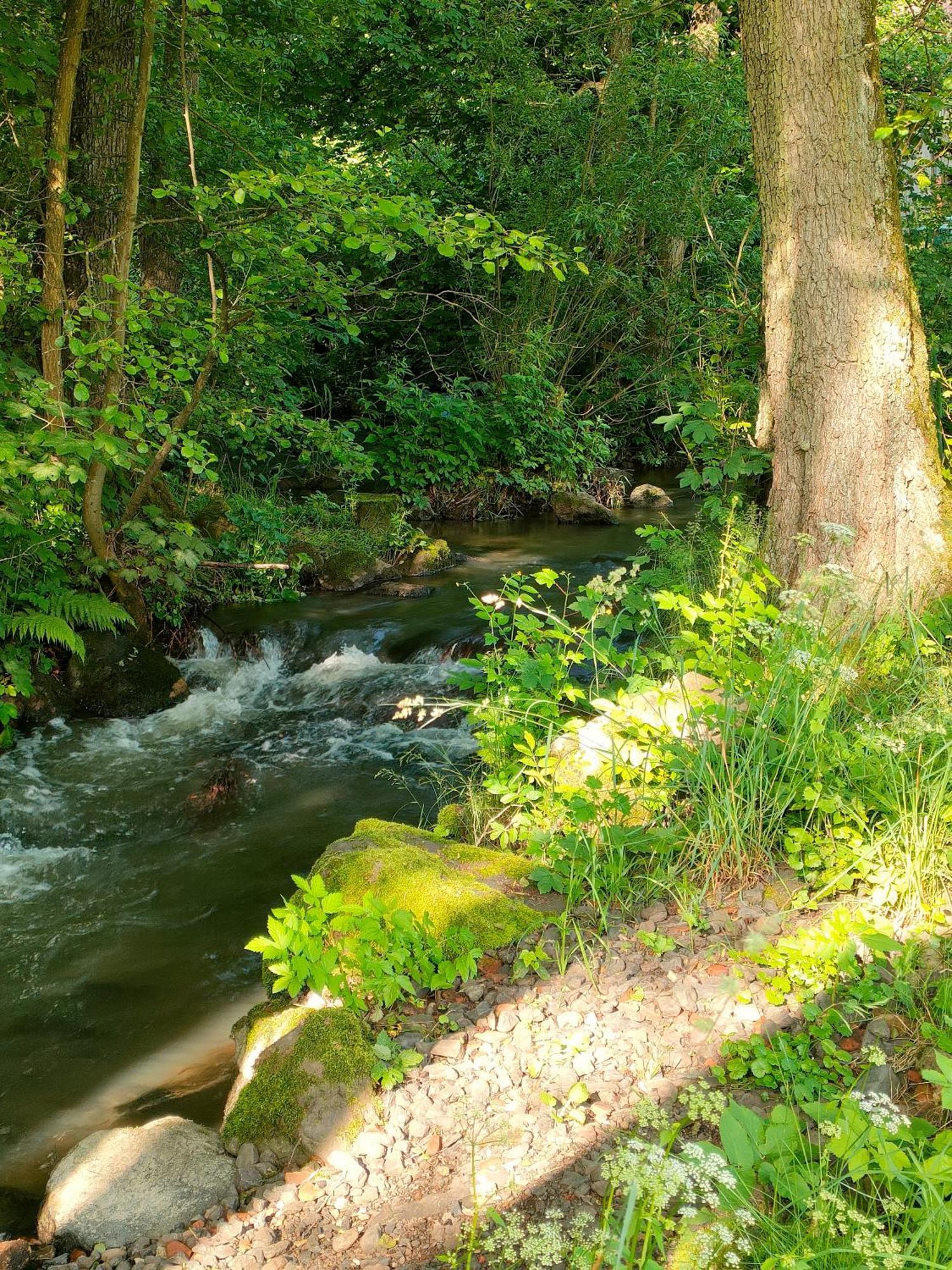 Wind In Den Weiden, Uebernachten Am Bachlauf Birstein Exterior photo